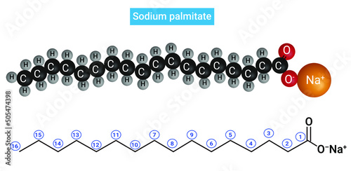 Structure of Sodium palmitate : Salt of palmitic acid (C15H31COOH)