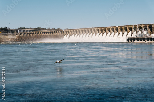 Beautiful shot of Wilson Dam with a bird in Florence, Alabama photo