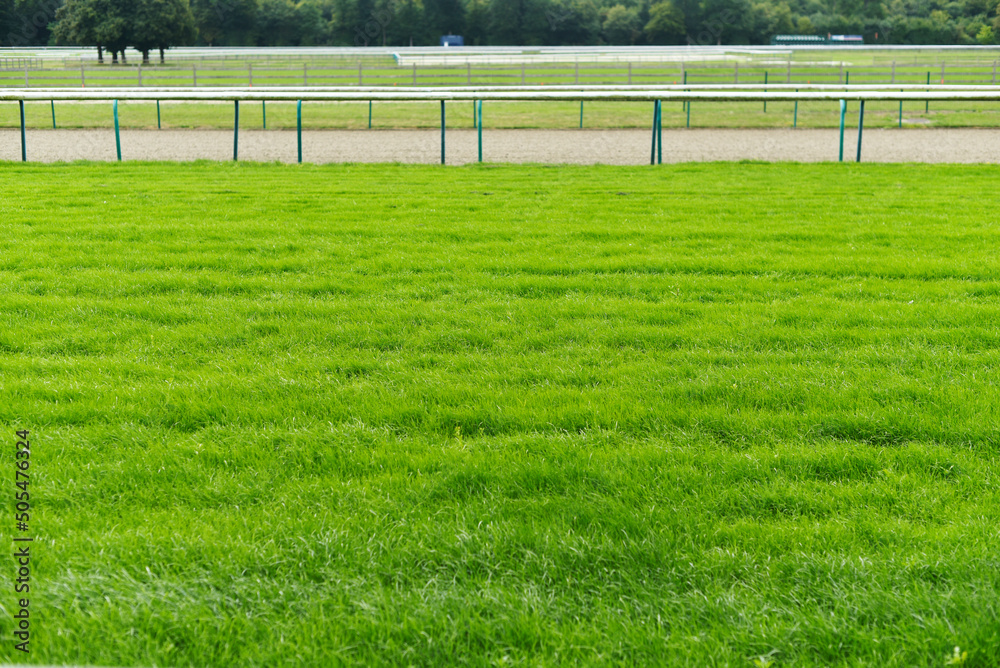 Fotografie Gazon hippodrome