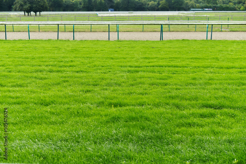 Εκτύπωση καμβά Gazon hippodrome