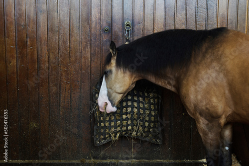 écuries - cheval © Anthony SEJOURNE