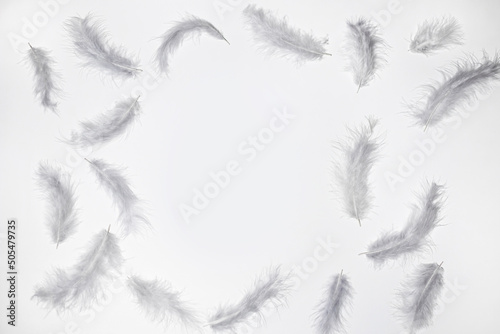 Natural colored in pink and gray feathers, frame flat lay on white