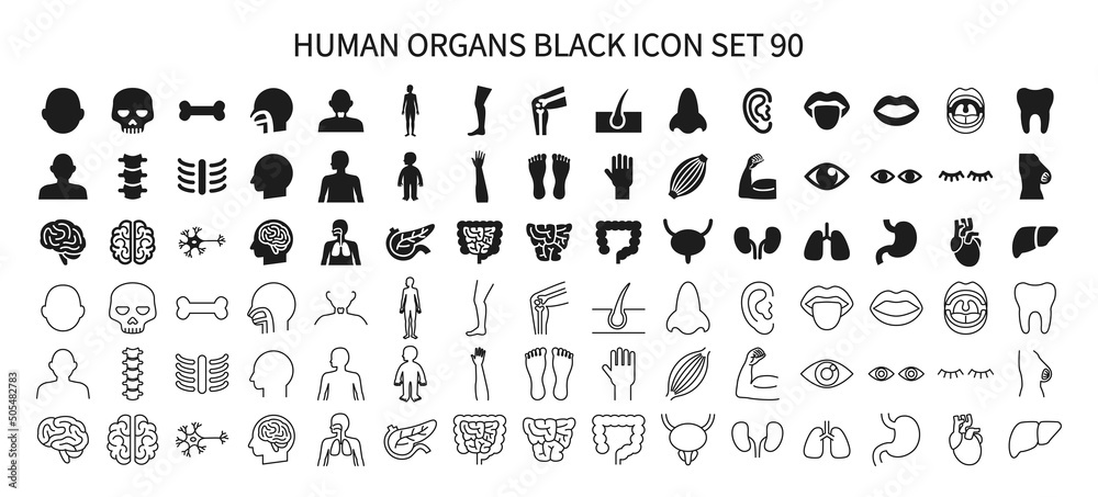 Icon set related to human organs Icon set related to human organs