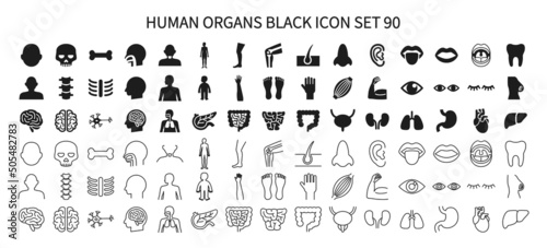 Icon set related to human organs photo