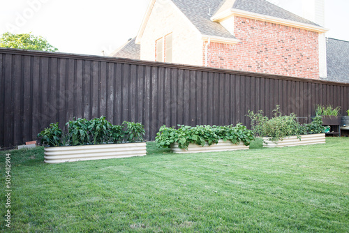 wide-angle shot of metal and wooden backyard container garden beds