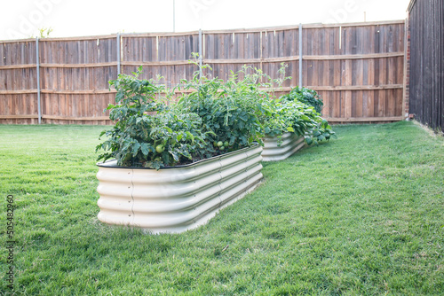 Row of metal backyard vegetable container gardens