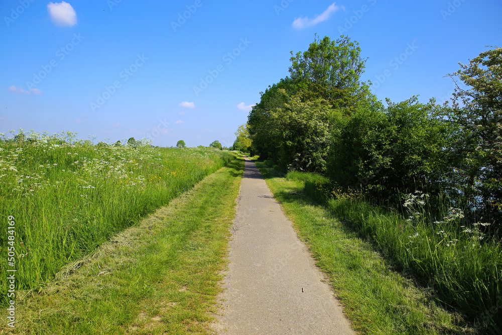 Beautiful dutch rural landscape with riverside cycle path, agricultural field, river Maas, blue sky - Maasheggen biosphere reserve, Netherlands