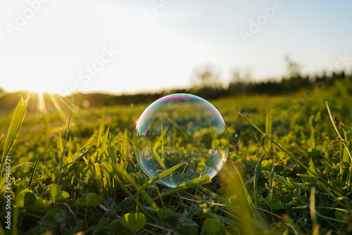 soap bubbles in the grass