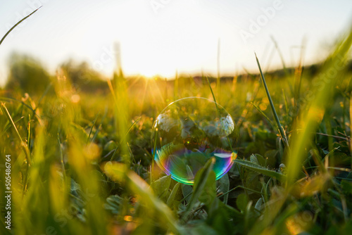 soap bubbles on grass