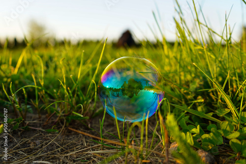 soap bubbles on grass