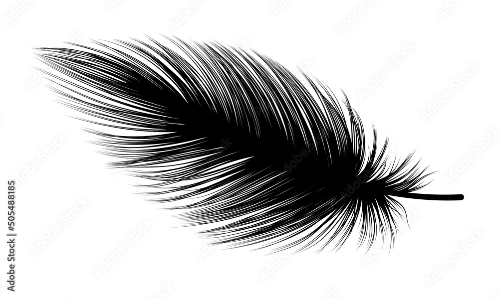 Obraz premium Feather isolated on white.Vector illustration.