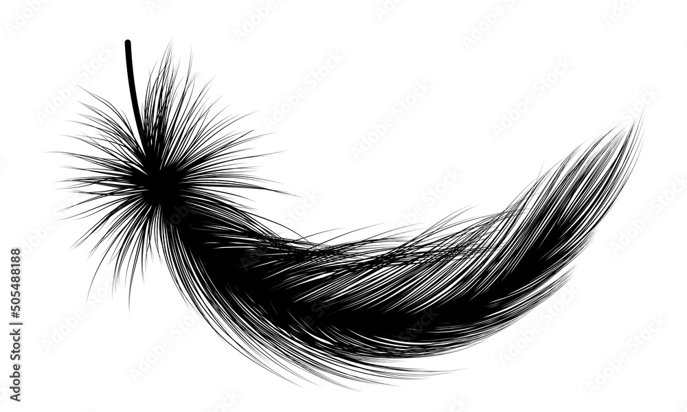 Feather isolated on white.Vector illustration. Feather isolated on white.Vector illustration.