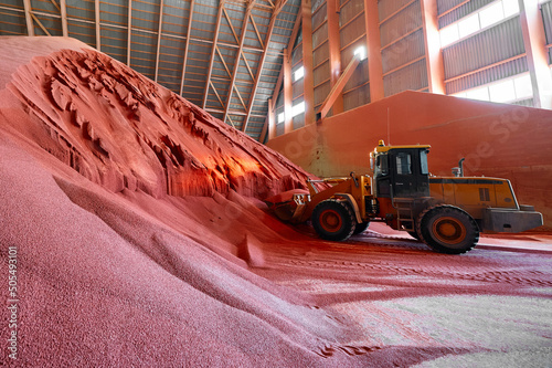 Excavator collects red potassium agricultural fertilizers photo