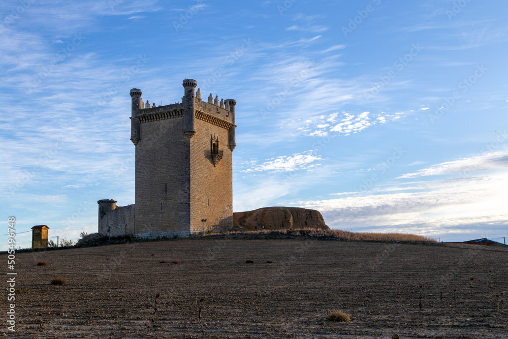 Castillo de Belmonte de Campos (siglo XV). Es una fortaleza bajomedieval declarada Monumento Histórico-Artístico en 1931.