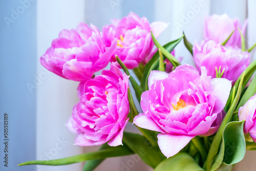 Beautiful magenta tulip flower bouquet