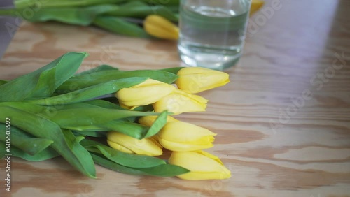 The concept of spring and flowers. A person sorts through yellow tulips next to a transparent vase of water
