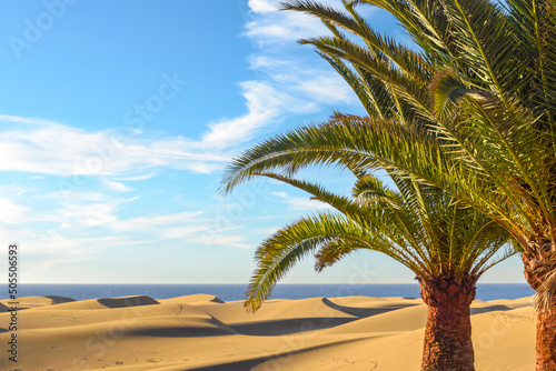 picturesque view of the Maspalomas sand dunes photo