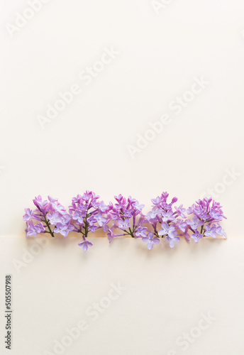 Beautiful flower arrangement. Lilac flowers  free space for text on a light pastel background. Wedding  birthday. Valentine s day  mother s day. Top view  copy space