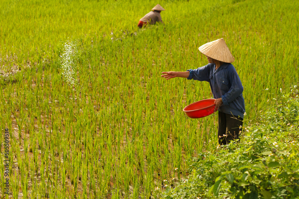 Фотография Vietnam