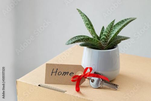 The key to the apartment with a tag on which the word house is written, the flower in the pot are on a cardboard box. The topic of buying a new apartment.  photo