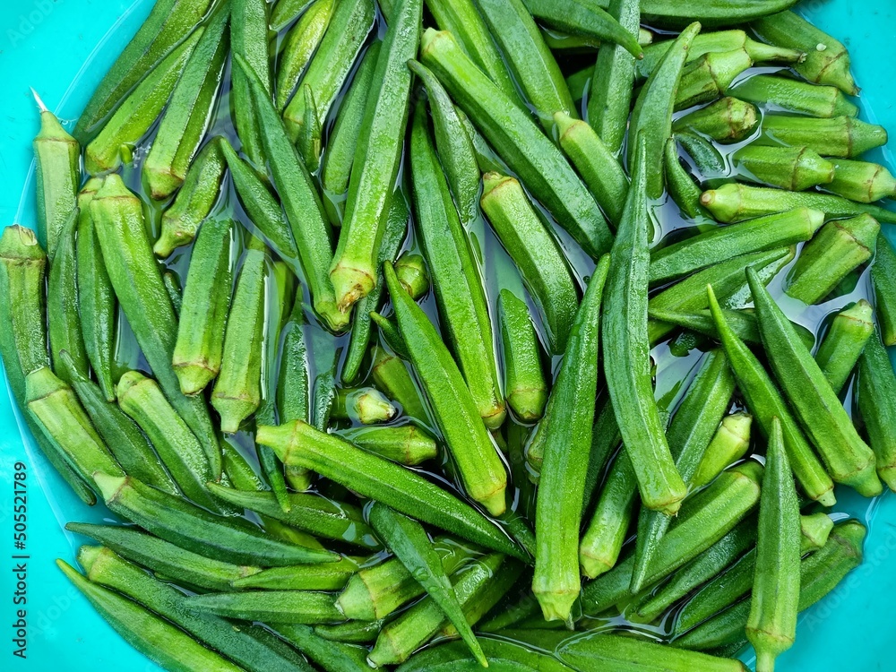 farm, fruit, group, ladyfinger, okro, kitchen, market, health, vegetarian, diet, seed, ladies' fingers, agricultural, basket, natural, freshness, finger, lady, vegetables, marketing, green vegetables, farm, fruit, group, ladyfinger, okro, kitchen, market, health, vegetarian, diet, seed, ladies' fingers, agricultural, basket, natural, freshness, finger, lady, vegetables, marketing, green vegetables,