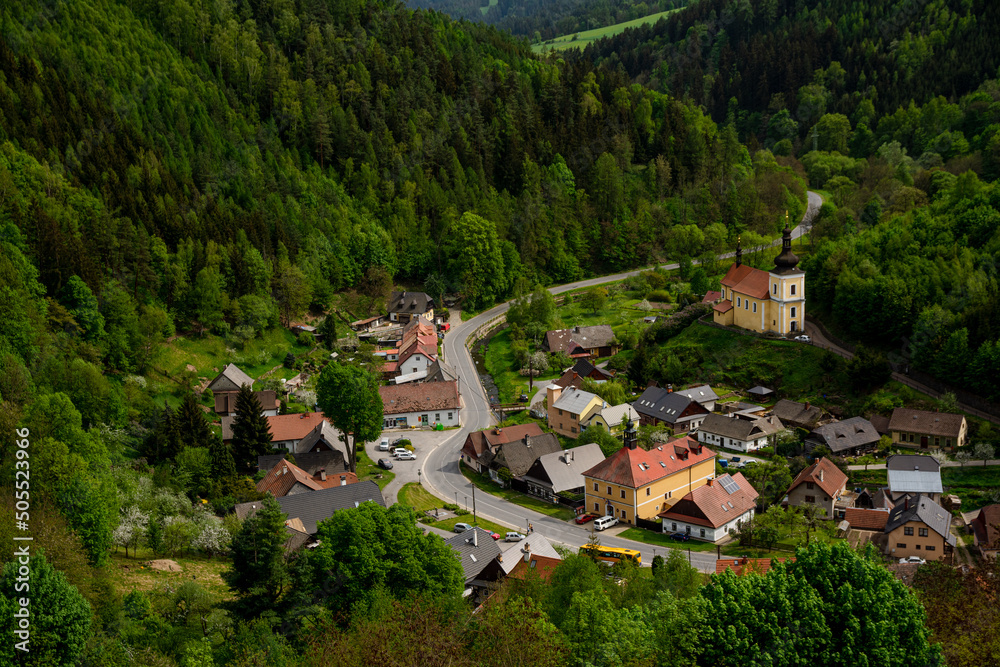 beautiful village with green forest