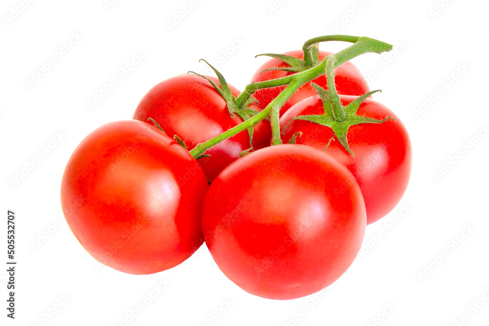 Tomato. Tomato branch. Tomatoes isolated on white. With clipping path. Full depth of field. Tomato. Tomato branch. Tomatoes isolated on white. With clipping path. Full depth of field.