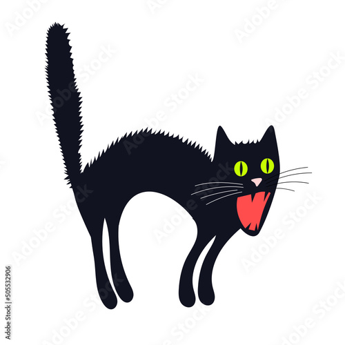 The black cat hisses  meows  holds his tail with a pipe. The frightened kitten defends itself.