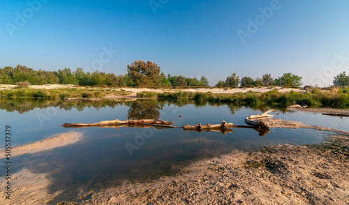 Beautiful view of Loonse en Drunense Duinen, the Netherlands. photo