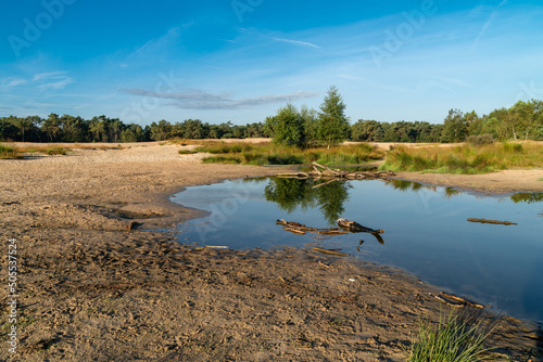 Scenic view of a small water area in the National Park Loonse en Drunense Duinen in the Netherlands photo