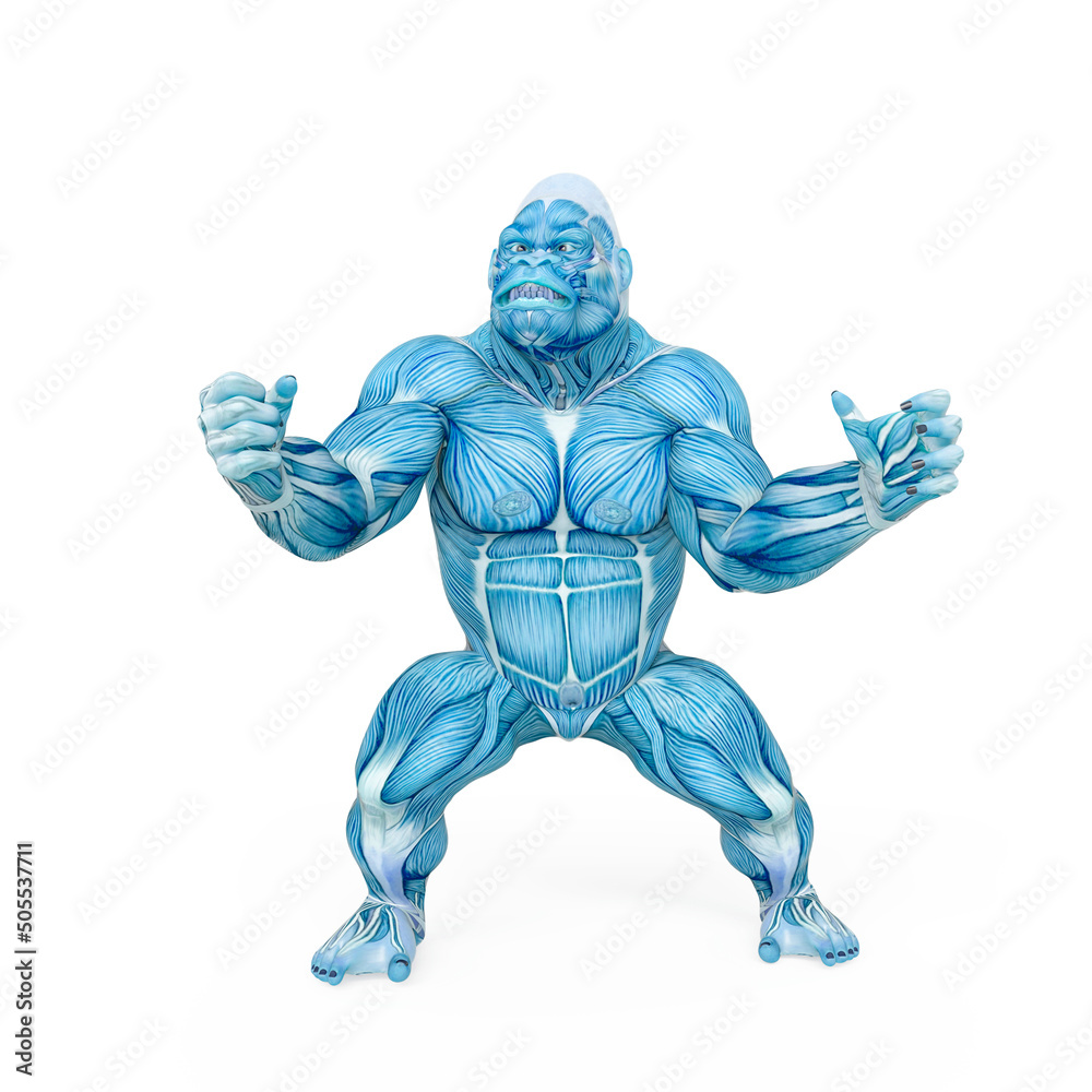 gorilla is doing a ready to fight pose on muscle map anatomy style gorilla is doing a ready to fight pose on muscle map anatomy style