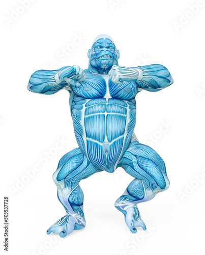 gorilla is doing a skirmish pose on muscle map anatomy style