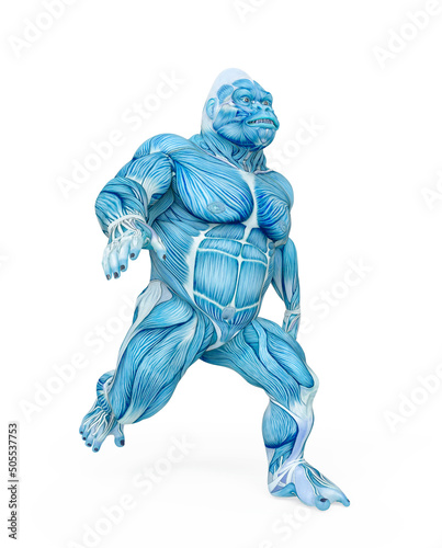 gorilla is running on muscle map anatomy style