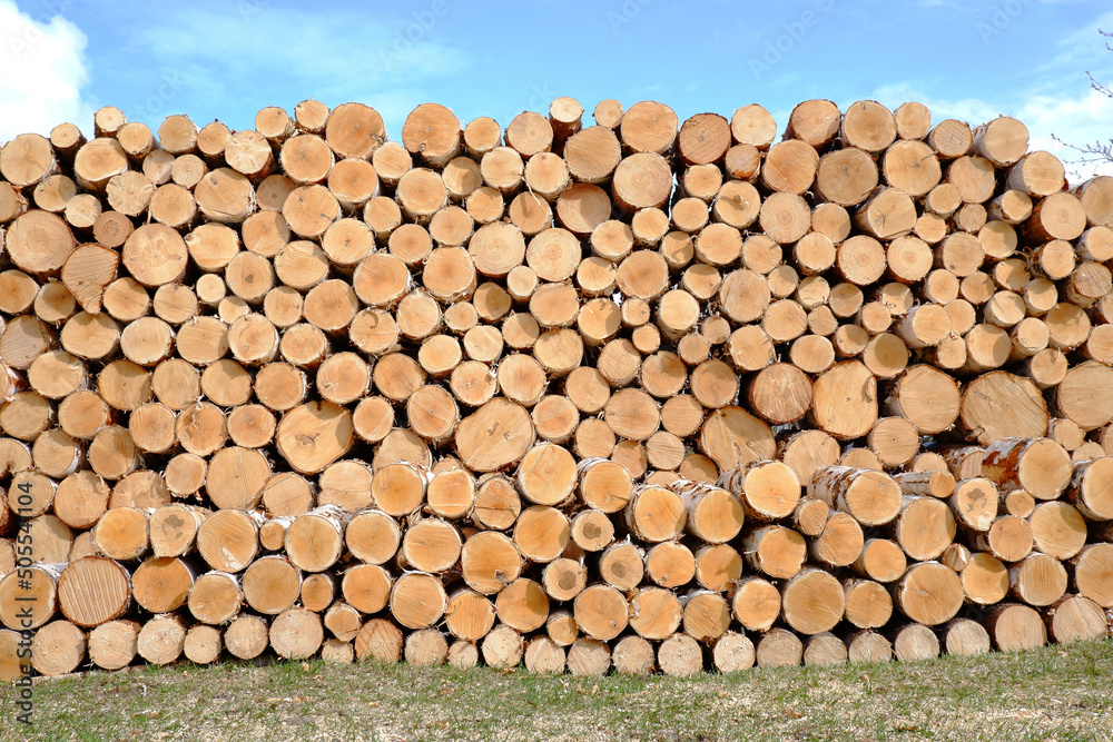 Firewood made of natural wood against a background of blue sky and grass is stacked and harvested for the winter with a stack of round logs.Wooden cube background is used for multi-purpose shape. Firewood made of natural wood against a background of blue sky and grass is stacked and harvested for the winter with a stack of round logs.Wooden cube background is used for multi-purpose shape.