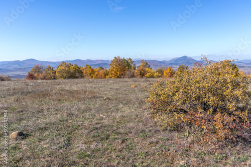 Wallpaper Mural Autumn landscape of Cherna Gora mountain, Bulgaria Torontodigital.ca