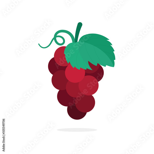 Bunch of red grapes hand drawn vector illustration. Grape and vine drawing. Part of set.