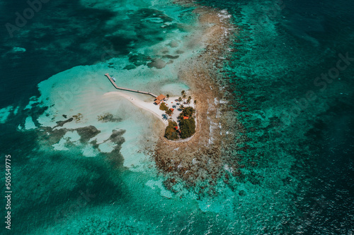 Aerial top view of the Caribbean Sea in the Goff's Caye island in Belize, Central America photo