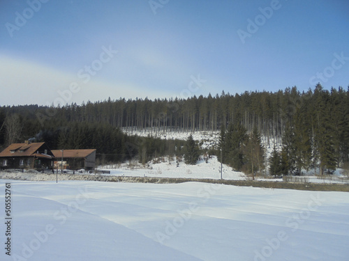 Winter rural scene: deep spruce forest with snow on the ground behind snow-covered meadow in Czech village Bila in Beskydy mountains. photo