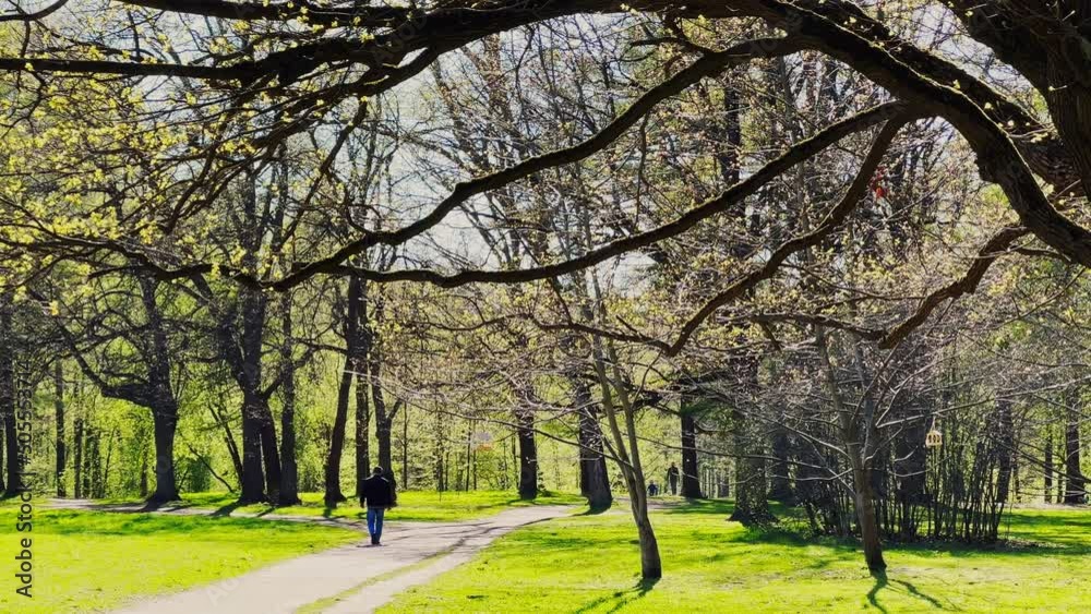 People is walking in the green natural park on a sunny spring day, green lawns, backlight People is walking in the green natural park on a sunny spring day, green lawns, backlight