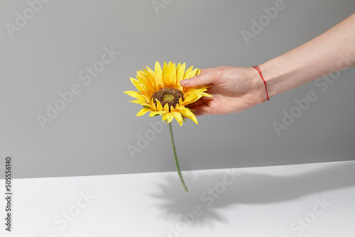 Fotografia, Obraz Woman's hand with red thread bracelet on her wrist holding sunflower