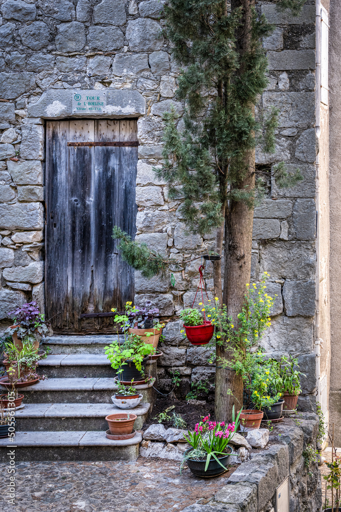 Old black wooden door in a stone wall with steps and flower pots