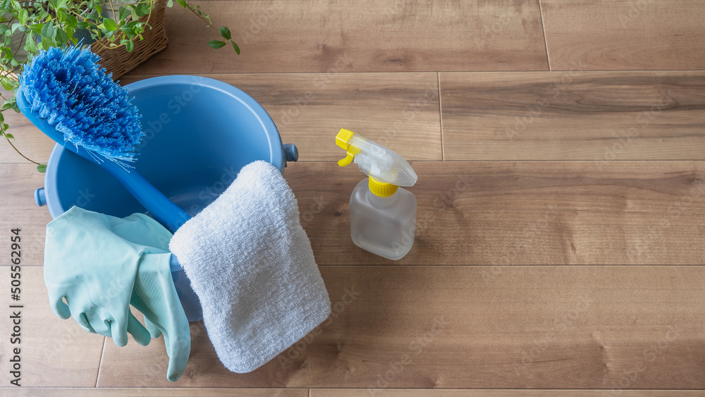 Tableau sur toile 掃除道具