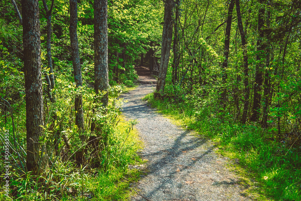 Obraz premium Stunning wide angle landscapes of south easter Ontario Canada featuring Lake Ontario with calm waters and the natural boreal forests of the region. Enjoy parks and scenic hikes.