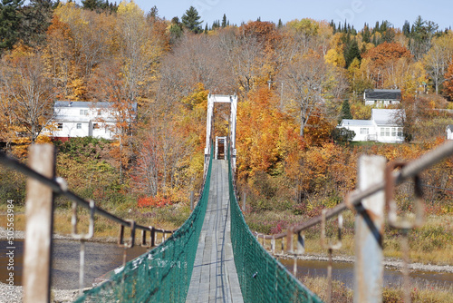 The Priceville Footbridge on a sunny day against colorful trees in New Brunswick, Canada photo