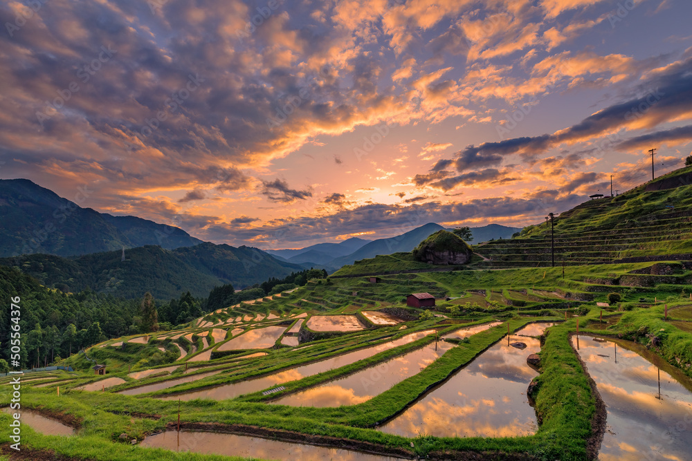 丸山千枚田の夕景 丸山千枚田の夕景