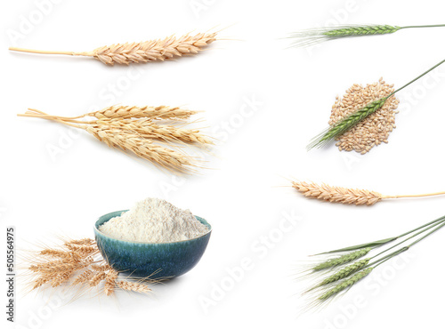 Set of wheat spikelets and flour isolated on white