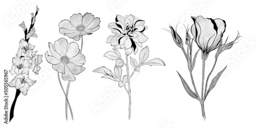 big set of flowers. Hand-drawn. design greeting card and invitation of the we...