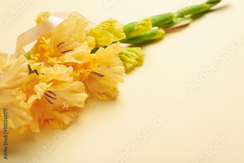 Branch of beautiful gladiolus flower on color background, closeup