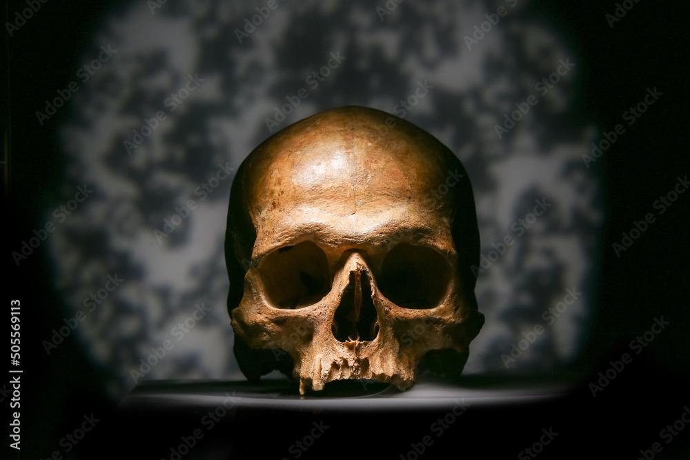 Ancient human skull on dark background Ancient human skull on dark background