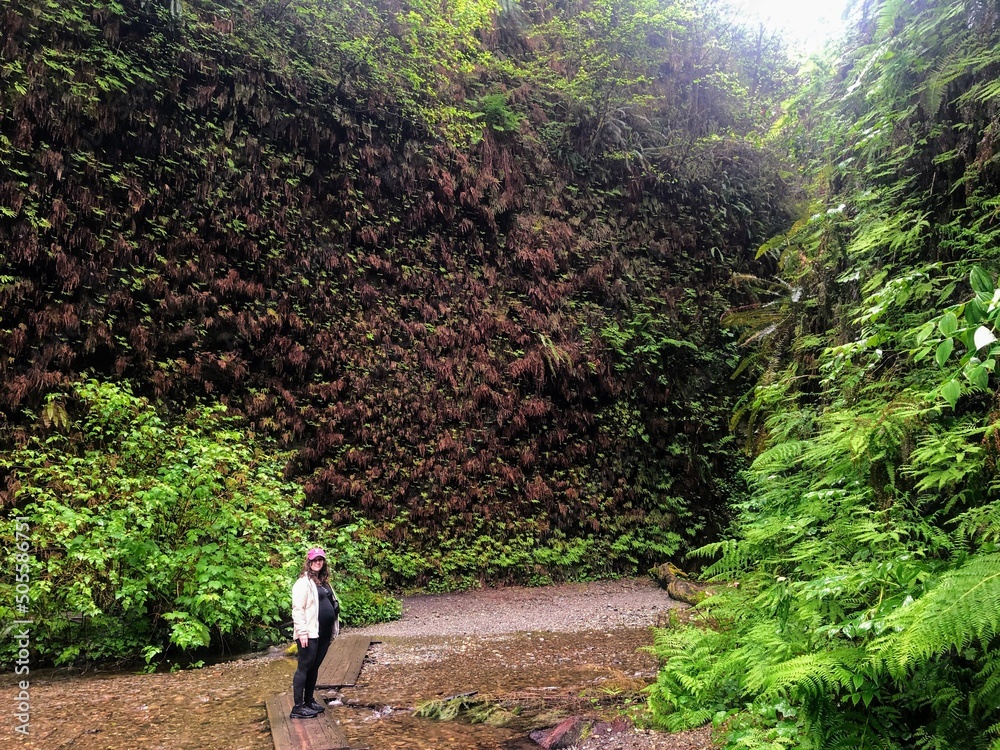 Φωτογραφία A young woman hiking through fern canyon with walls of ferns, a beautiful site in prairie creek redwoods state park, in California, United States